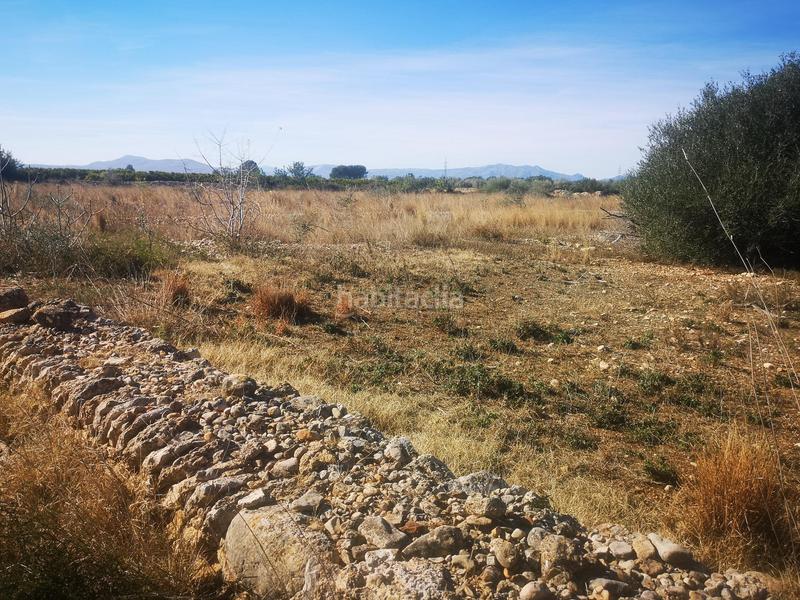 Foto f8c65865-fada-4704-948e-719761602641. Finca rústica a Traiguera