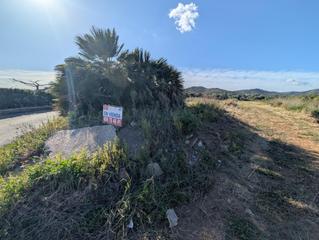 Terreny residencial a Camino polígono 12 parcela 139 mitad cami. alcanar (tarr 12