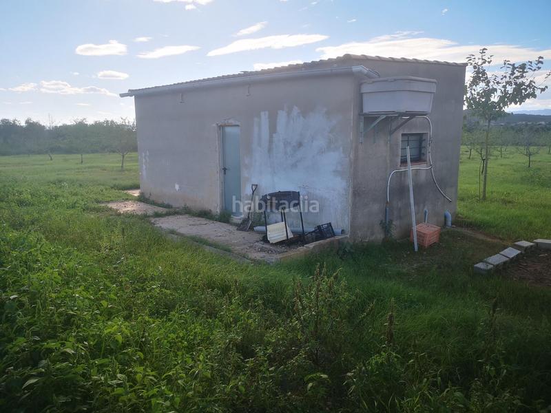 Foto 54a472d2-a69b-4ee5-b188-909a5ef6ccac. Landgut in Ulldecona