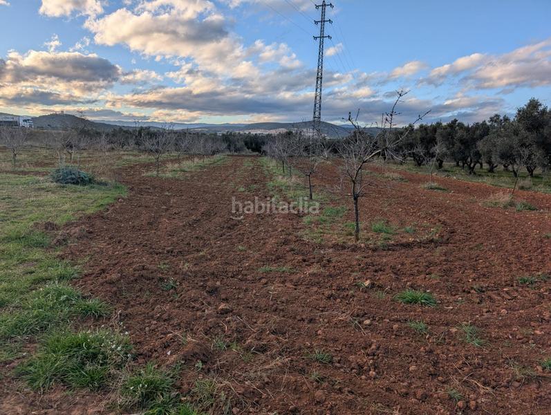 Foto b096781d-b931-4c0f-b22c-2c3379171793. Landgut in Ulldecona
