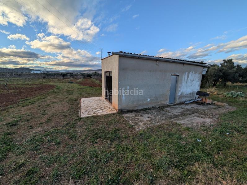 Foto b9f247a4-8cbc-487b-b1f9-18e93b1de500. Landgut in Ulldecona