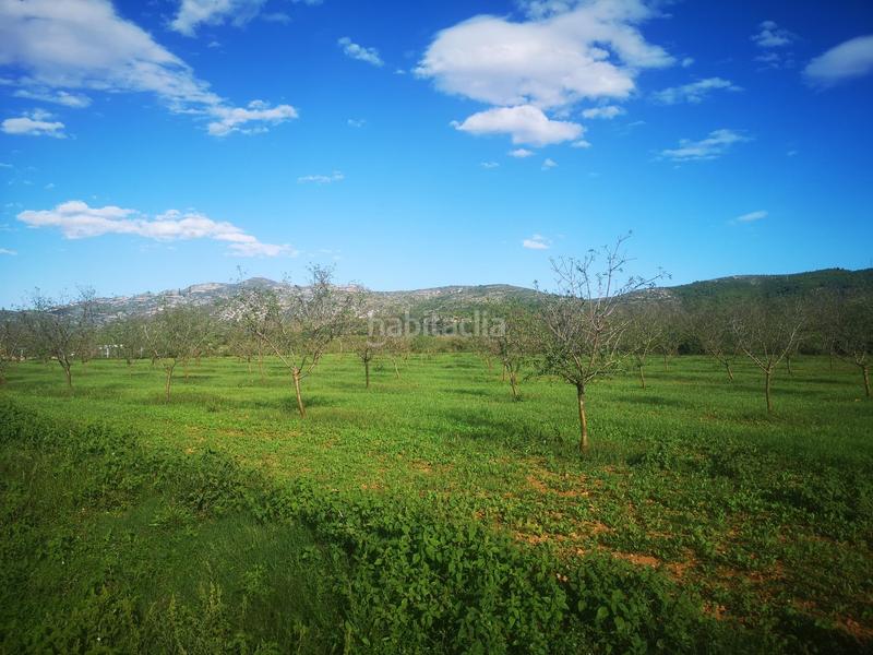 Foto 1396fad5-d3d1-4c0a-8ce6-6779bd21d5cb. Propriété dans Ulldecona