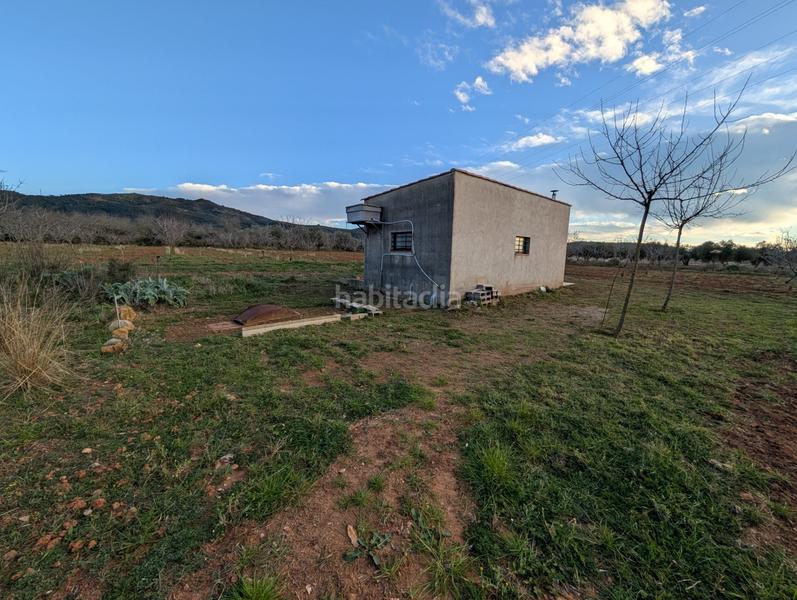 Foto 3fa45187-a182-4f90-bb2a-4d3787ec62b9. Propriété dans Ulldecona