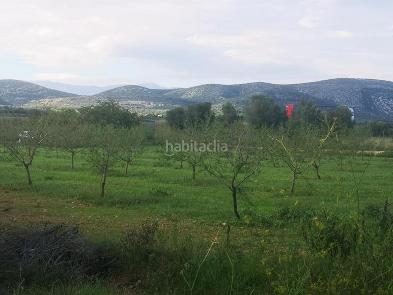 Foto 5879373a-e50c-4550-bef3-72f8b521c57b. Propriété dans Ulldecona