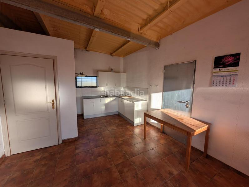 Foto e35b2257-1522-4099-a74e-6492e6c007bf. Propriété dans Ulldecona