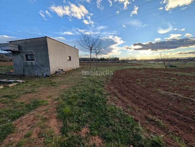 Foto e60c109a-4330-4f67-a1f8-4f2bec40e8b8. Propriété dans Ulldecona