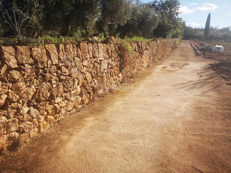 Foto 02528363-b03c-49e6-8367-60970d8b9895. Terreno residencial en Ulldecona