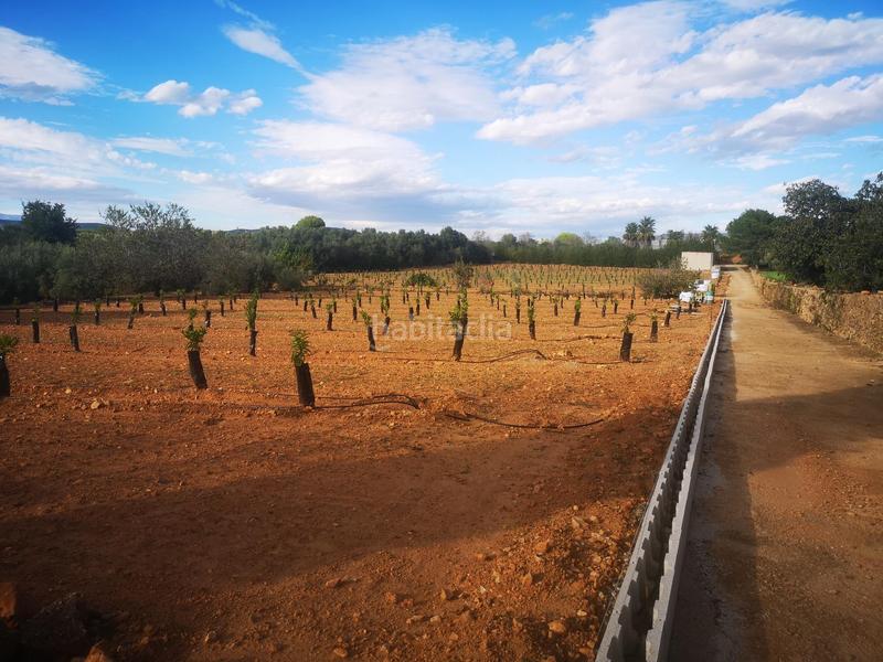 Foto 496724d4-6fdc-4139-8ac0-f8a5978c7b36. Terreno residencial en Ulldecona