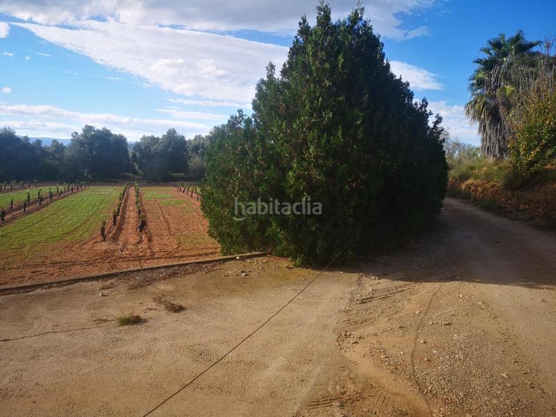Foto bb49426d-fd29-49ac-9c22-c1e9d9af5a42. Terreno residencial en Ulldecona