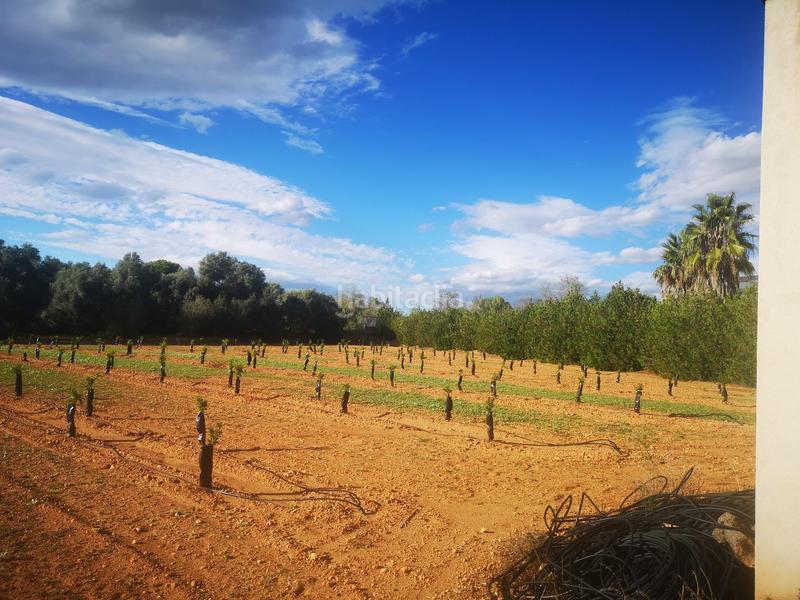 Foto f84943c1-de51-443a-9a2c-91d8bc73311d. Terreno residencial en Ulldecona