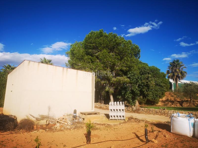 Foto fca47540-005e-44cc-b49e-696059dfb26d. Terreno residencial en Ulldecona