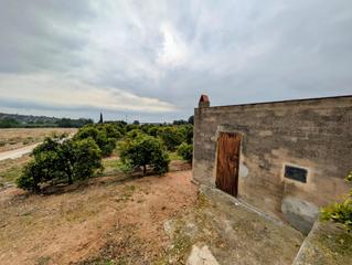 Terreny residencial a Alcanar. Finca de naranjos con casita y vistas al mar  !!
