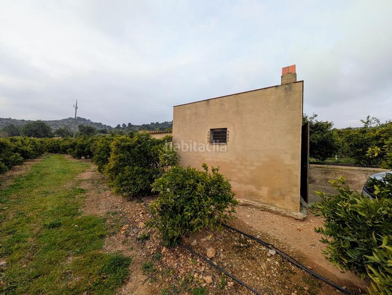 Foto 470e5bb4-394f-45ca-a8d7-49647d9e5019. Terreny residencial a Alcanar