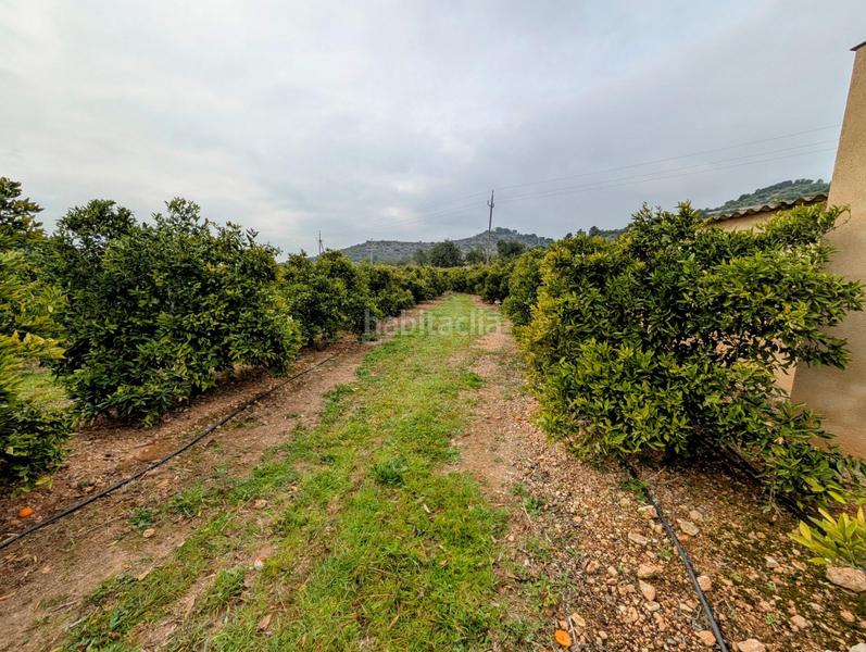 Foto 4d235291-1f99-4547-b1f4-61445dd95a7b. Terreny residencial a Alcanar