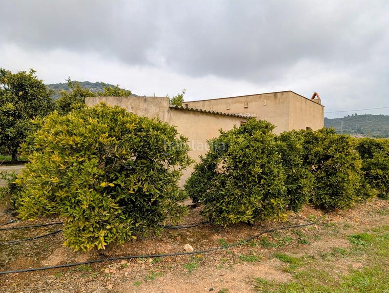 Foto 57c8703f-34e5-43bc-a599-98e6d1c0da73. Terreny residencial a Alcanar