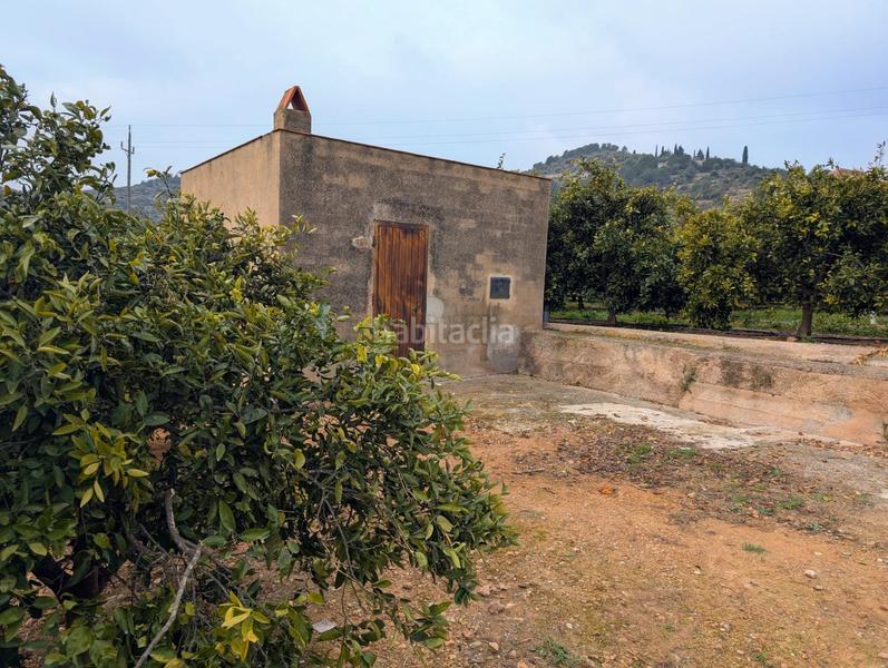 Foto 67c697ed-6afa-4bed-8ec1-39b493517063. Terreny residencial a Alcanar