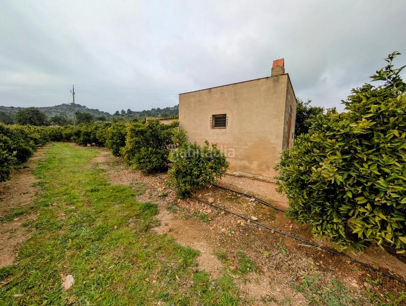 Foto 80bc3578-1a4a-4392-b2f5-0a03f65cde9c. Terreny residencial a Alcanar