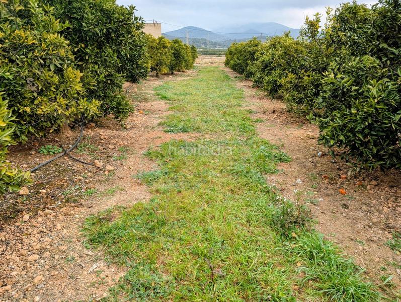 Foto be4fcf4d-3359-4cf9-bb2e-a4702bf7d6a8. Terreny residencial a Alcanar