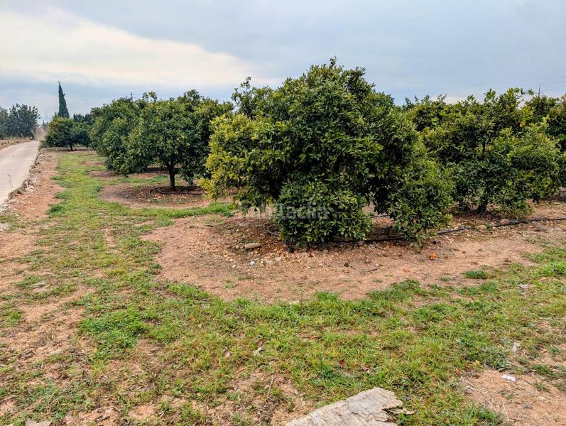 Foto c4e1b1aa-e8b4-44dc-be0c-9d747a78c4db. Terreny residencial a Alcanar