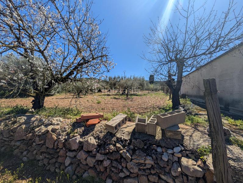 Foto 05fcfe70-691d-4cae-b5fd-24234a2f1a54. Landgut in Ulldecona