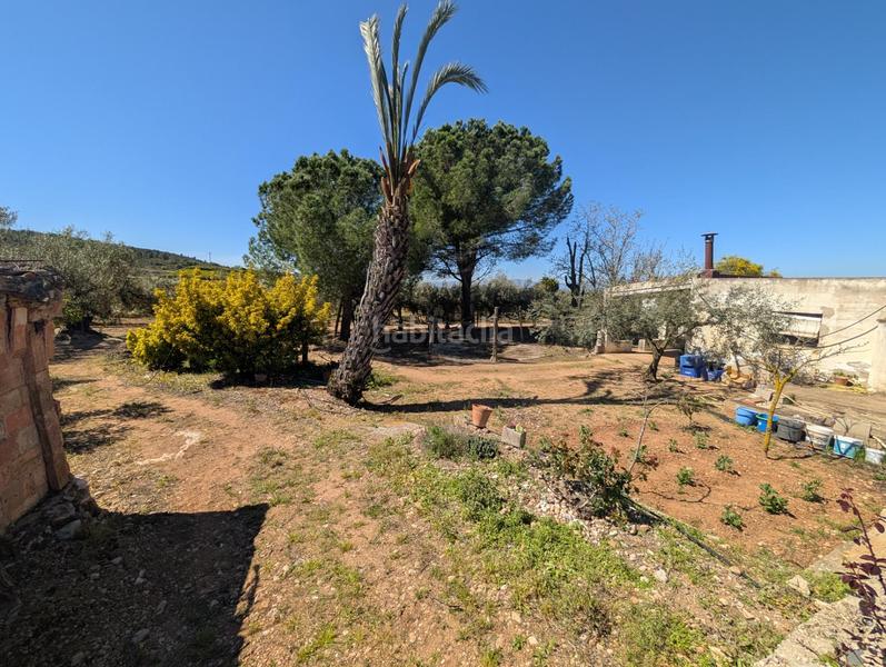 Foto b2c1a148-5976-4e17-b234-89bd1ec6ebf4. Landgut in Ulldecona