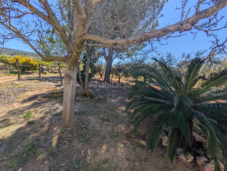 Foto bf9d31f8-d12c-4ecb-8323-2cad8eede936. Landgut in Ulldecona