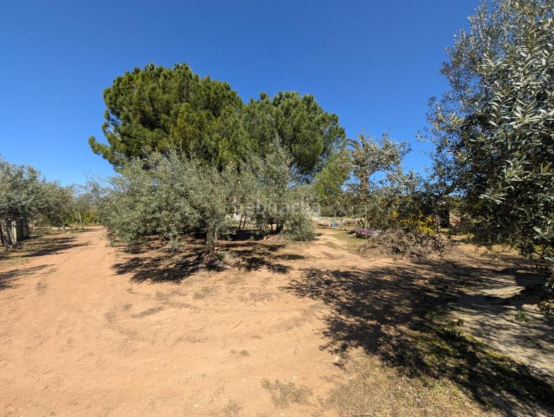 Foto f409c413-4dac-49d7-b15e-bfc5e866fe31. Landgut in Ulldecona