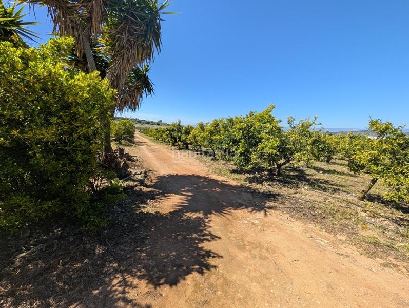 Foto 02dc137b-bdfe-4cff-8085-725287ca1d52. Rural plot in Ulldecona