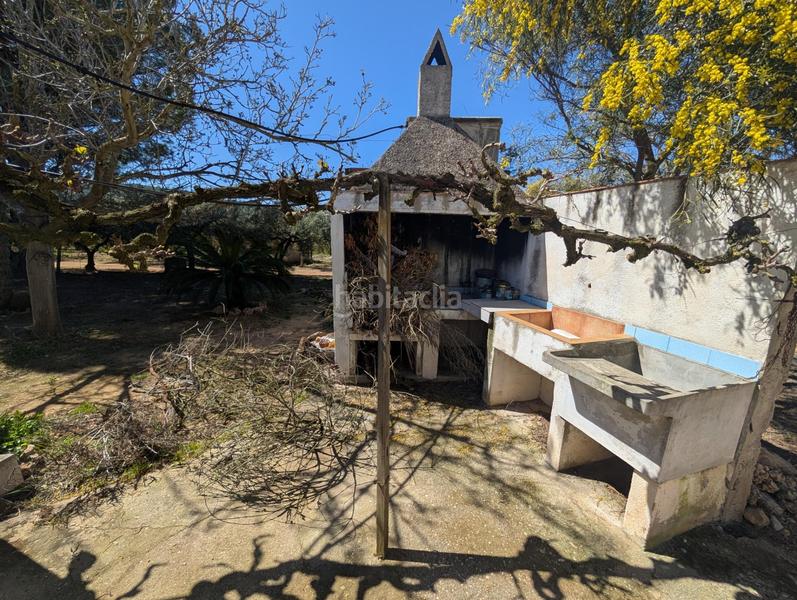 Foto 0790a65d-a2cd-4634-b6c7-0759b219f755. Rural plot in Ulldecona