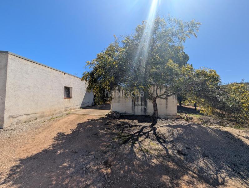 Foto 170e9aaf-c408-4675-b2d9-487b7529996c. Rural plot in Ulldecona