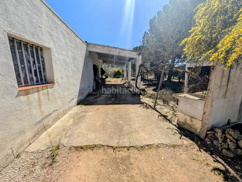 Foto 196229d8-81ad-411b-ba04-95cde88400ef. Rural plot in Ulldecona