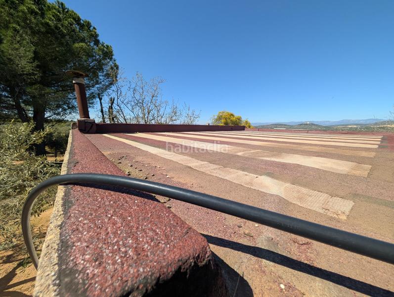 Foto 3ba55415-d619-4e5d-97cb-bee0f304728b. Rural plot in Ulldecona