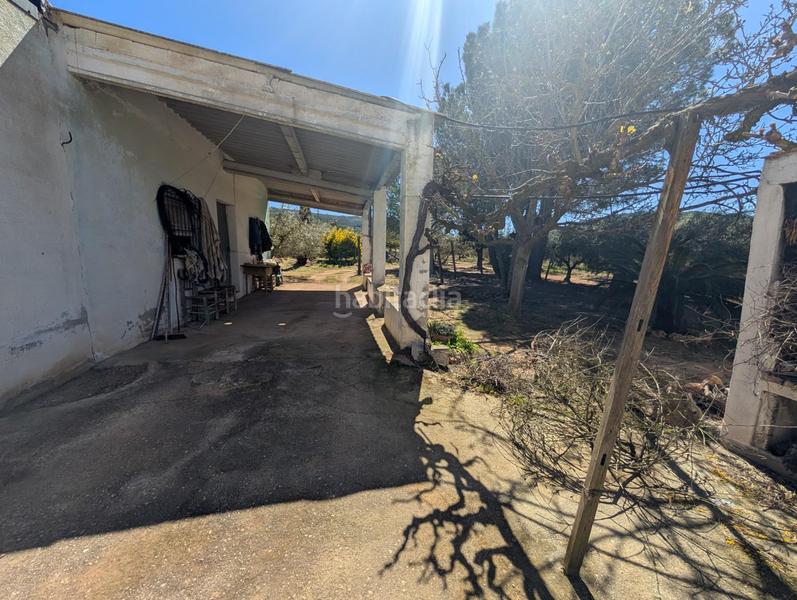 Foto 3d8c7a01-87cf-4efb-8962-19bb0af91e00. Rural plot in Ulldecona