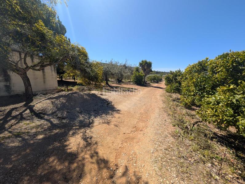 Foto 43a0350c-1856-4931-8081-f068b357ae19. Rural plot in Ulldecona