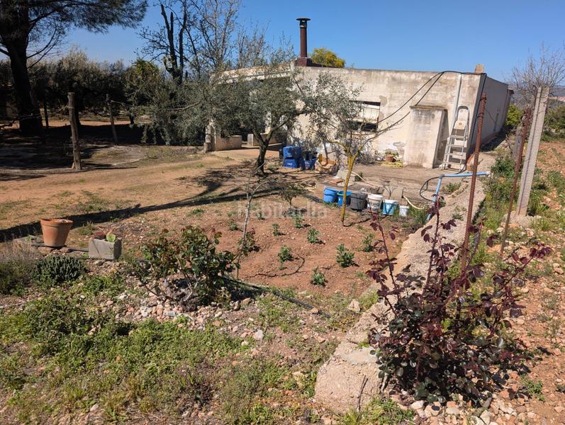 Foto 5534dffe-f01c-4768-98e3-911be3b5a49b. Rural plot in Ulldecona