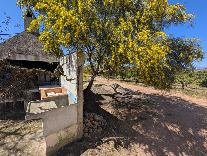 Foto 6d71f5db-4fb1-417d-ad5e-ef76a1bbe4a3. Rural plot in Ulldecona