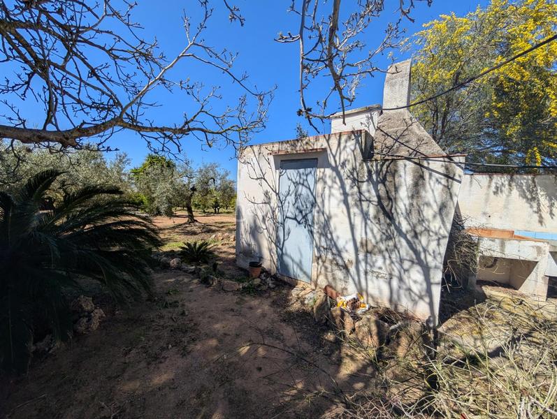 Foto 74495bbd-e53b-489e-be8b-07b3c1e39805. Rural plot in Ulldecona