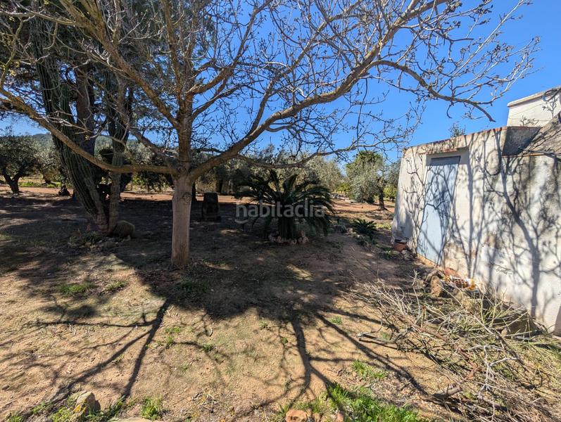 Foto 7b4b9a7b-d7c5-495d-af37-bfc5a4292aa1. Rural plot in Ulldecona