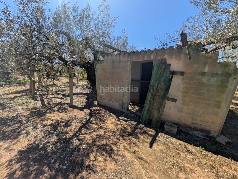 Foto 7ed4ef8c-d638-46f0-b16c-ab581b092d5b. Rural plot in Ulldecona