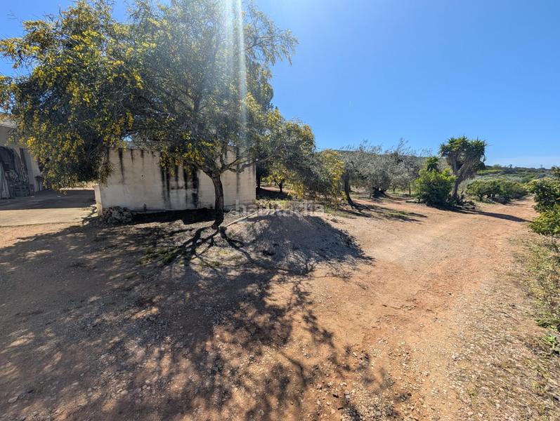 Foto 94008805-7a98-4157-a226-6fc730e66a2c. Rural plot in Ulldecona