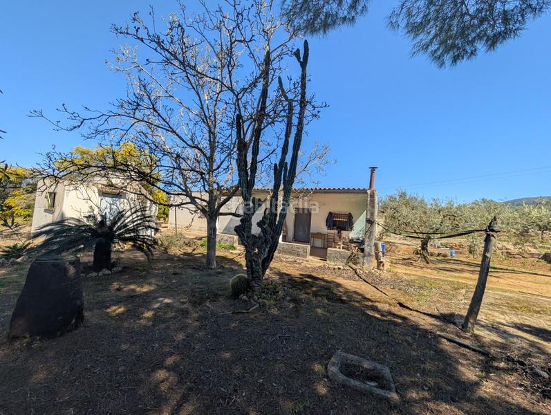 Foto 94f7d773-51e3-40b8-a5b8-11181c8187eb. Rural plot in Ulldecona