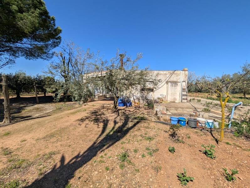 Foto a79ba04f-5d1c-43c2-9ffe-7dd1c0ab776d. Rural plot in Ulldecona