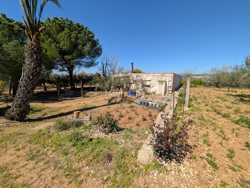 Foto ad1d6d83-89c9-4ab6-badf-2d689782522b. Rural plot in Ulldecona
