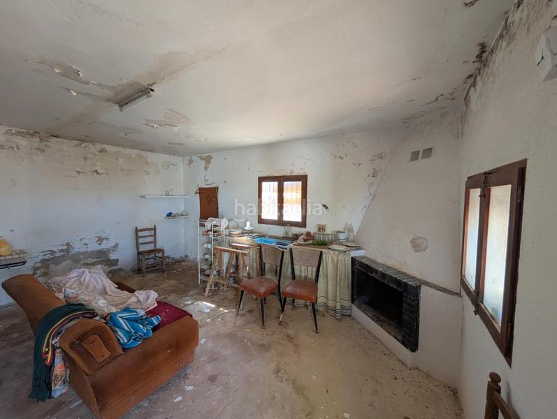 Foto bb8a7792-5ba5-45ef-9435-001c18084101. Rural plot in Ulldecona