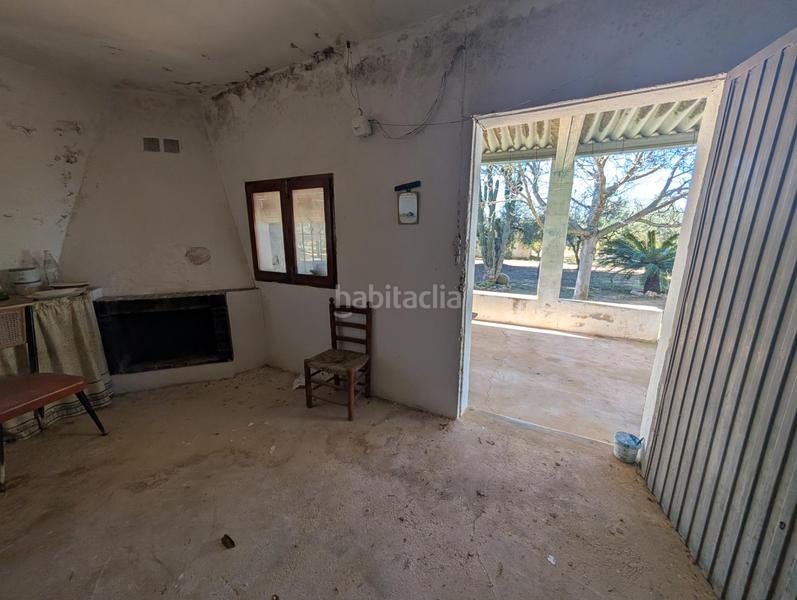 Foto d0593ab6-469a-4628-a665-1d4593b7ad12. Rural plot in Ulldecona