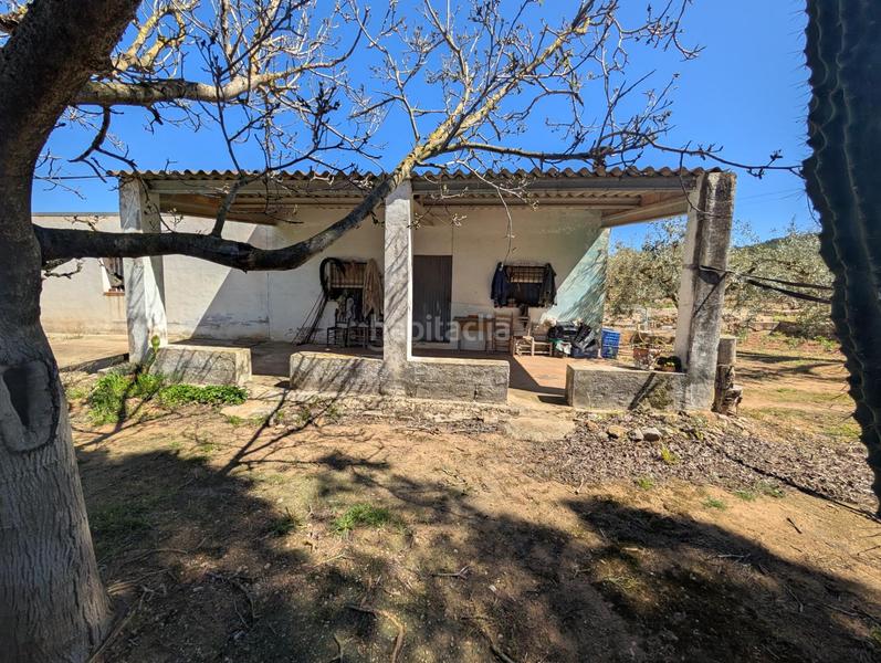 Foto e3f218b5-3ff0-49f5-aadb-3ddec3d4fbca. Rural plot in Ulldecona