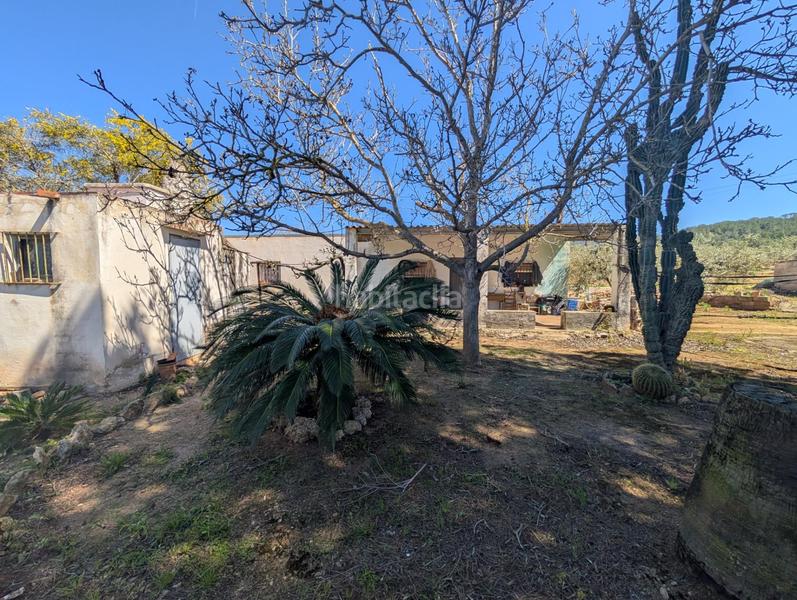 Foto f7be8ba1-35ea-4aa4-88b4-c857e15f3b2a. Rural plot in Ulldecona