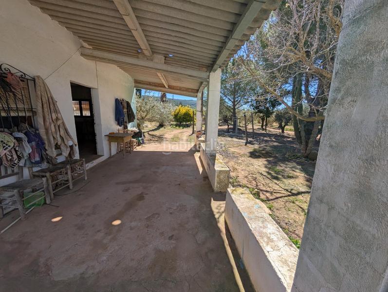 Foto fbe67645-cc8c-45ce-aaa2-3b5472a9ffe7. Rural plot in Ulldecona