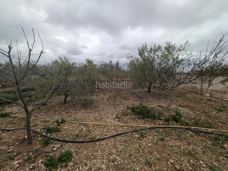 Foto 077be230-b1d1-4dc4-9c4d-6300d0ab56b0. Landgut in closa de Vinaròs - ermita Vinaròs