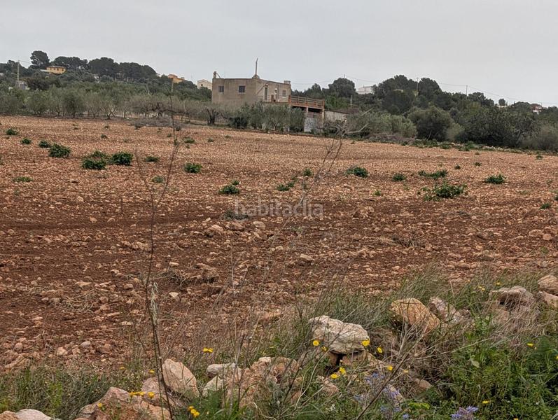 Foto 4f90ec68-5856-477c-a92a-0ed61a2ee287. Landgut in closa de Vinaròs - ermita Vinaròs